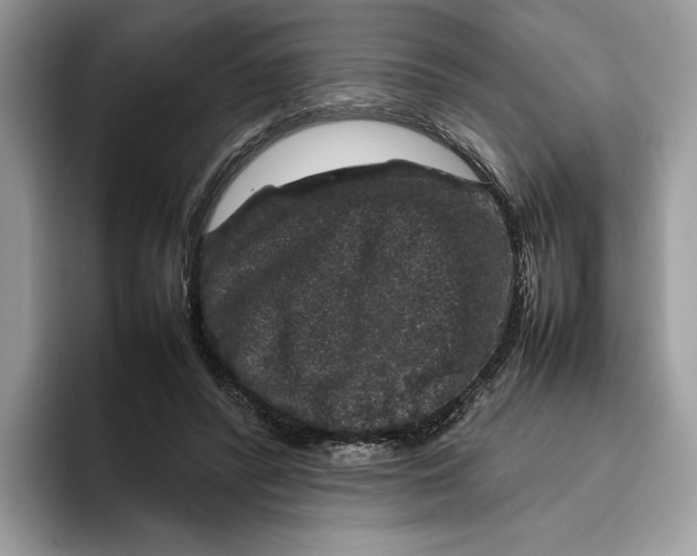 X0000095950400200802011106