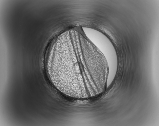 X0000095950403200802011106