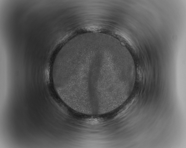 X0000095950404200802011106