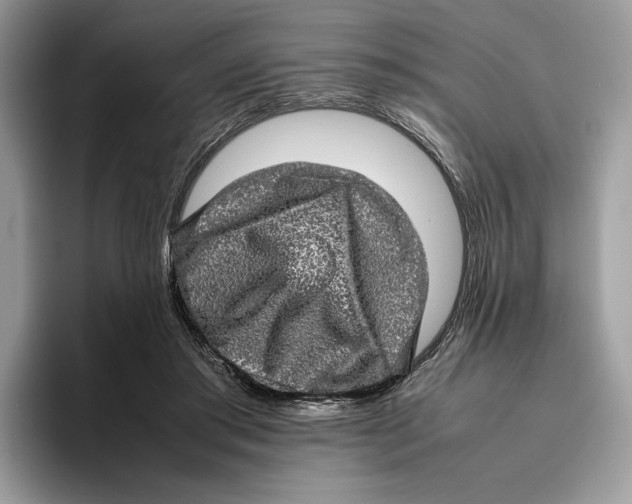 X0000095950405200802011106