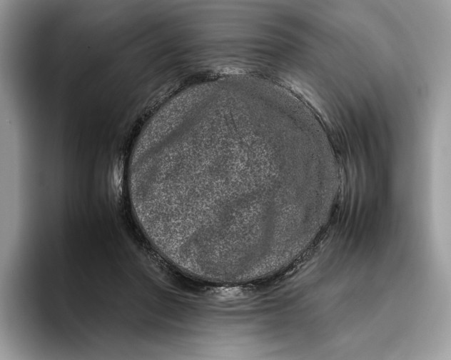 X0000095950406200802011106