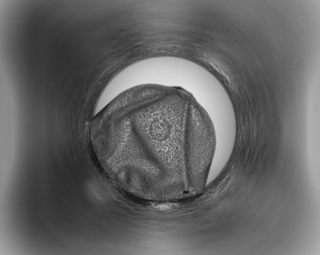 X0000095950407200802011106