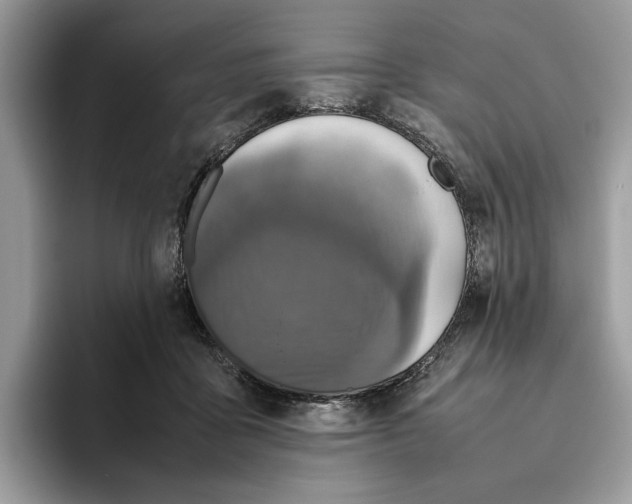 X0000095950411200802011106