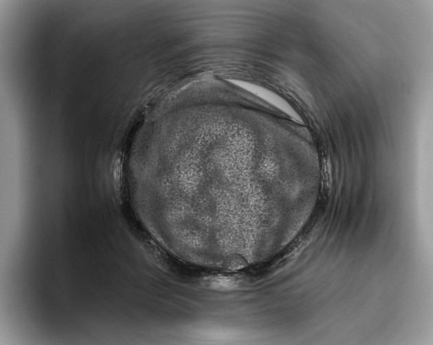 X0000095950412200802011106