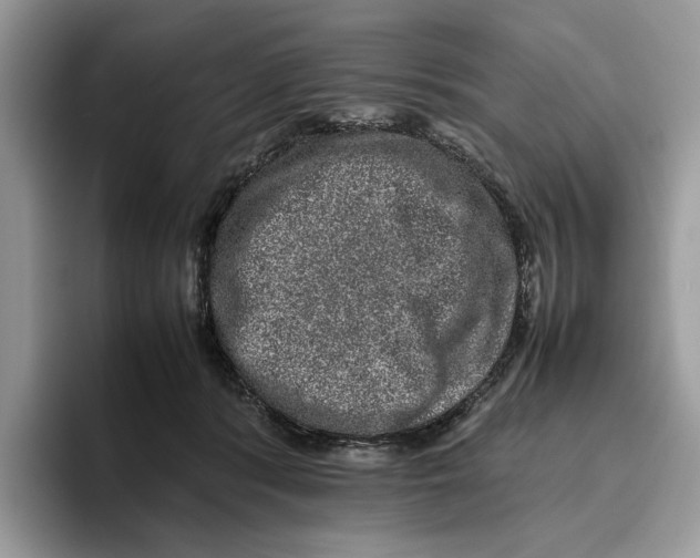 X0000095950416200802011106