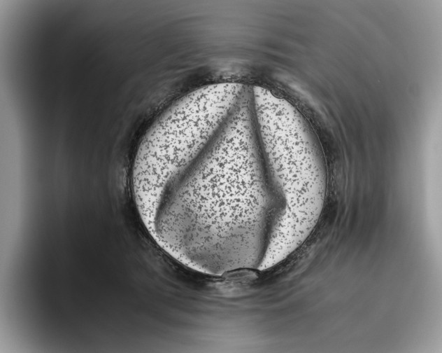 X0000095950417200802011106