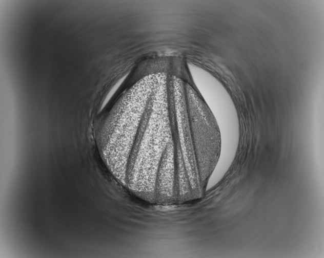 X0000095950419200802011106