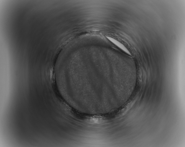 X0000095950420200802011105