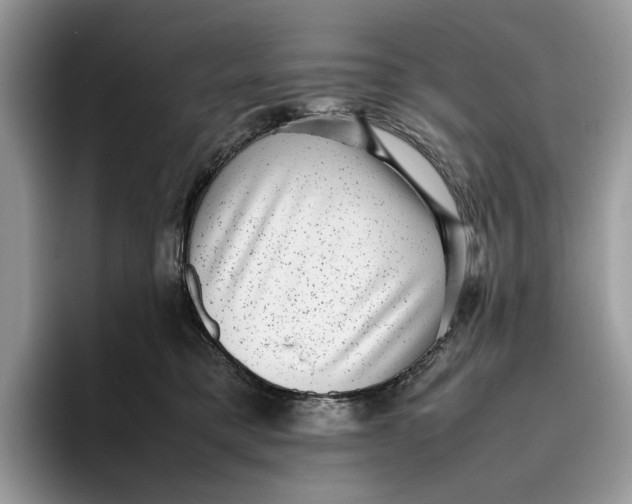 X0000095950421200802011105