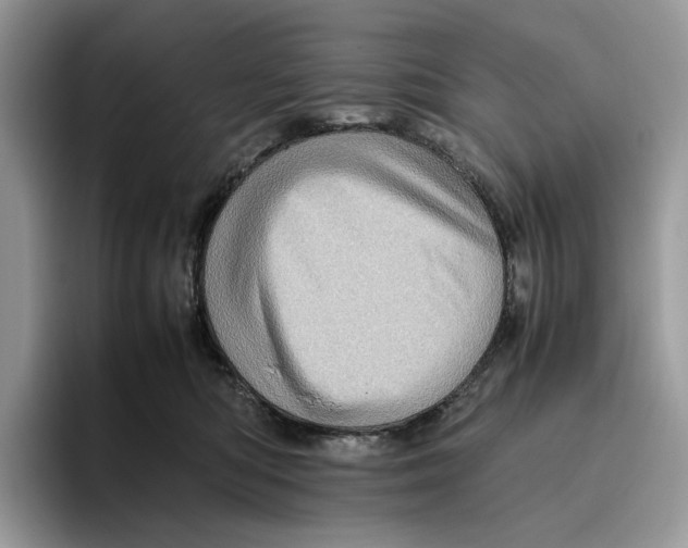 X0000095950422200802011105