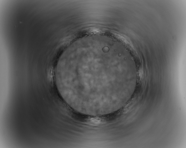 X0000095950423200802011105