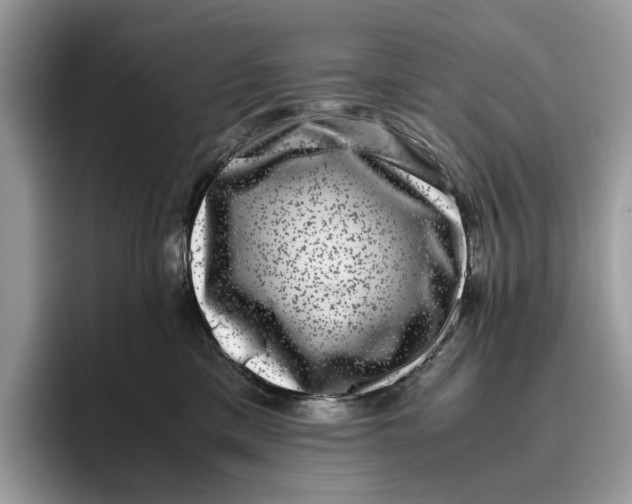 X0000095950425200802011105