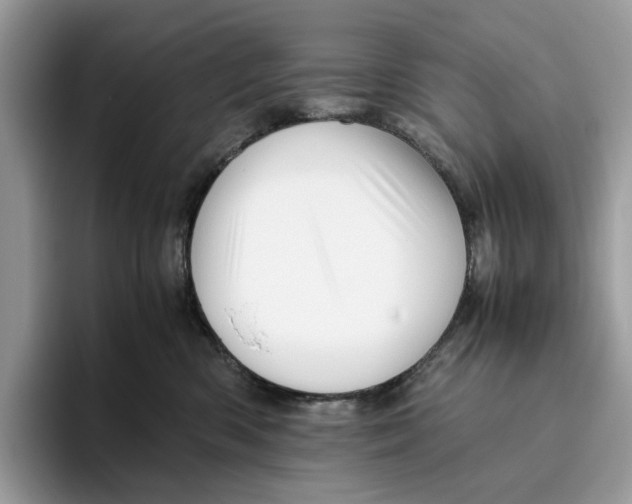 X0000095950426200802011105