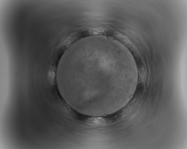 X0000095950427200802011105