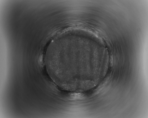 X0000095950428200802011105