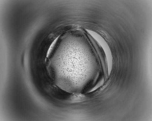 X0000095950429200802011105