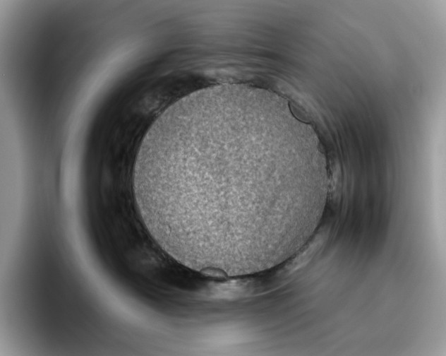 X0000095950430200802011105