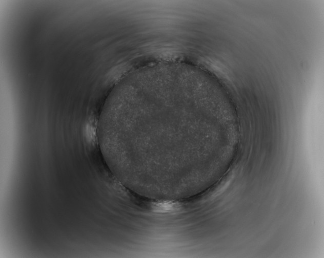 X0000095950432200802011105