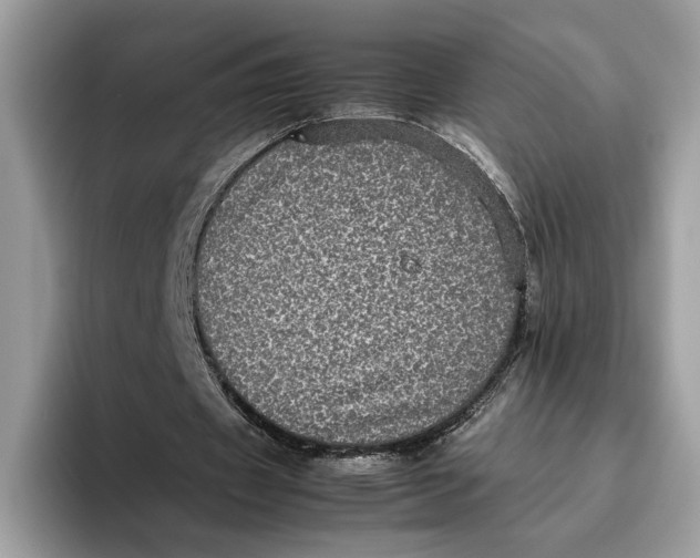 X0000095950433200802011105