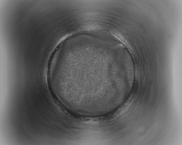 X0000095950434200802011105