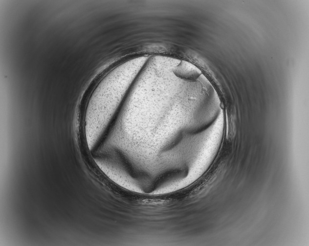 X0000095950435200802011105