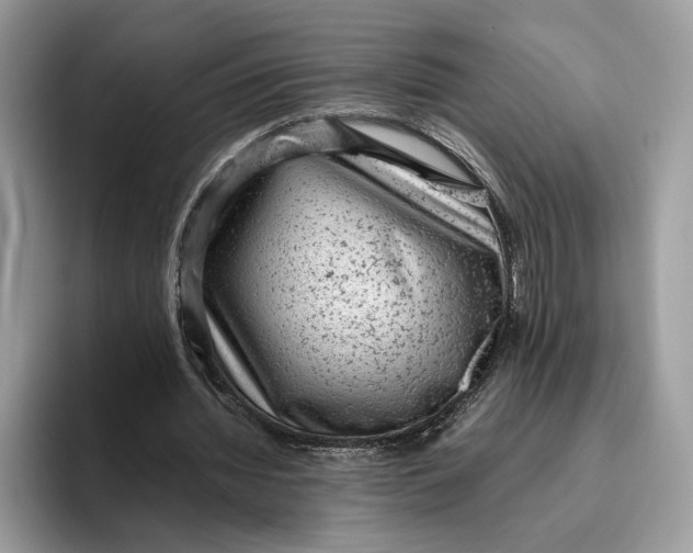 X0000095950436200802011105