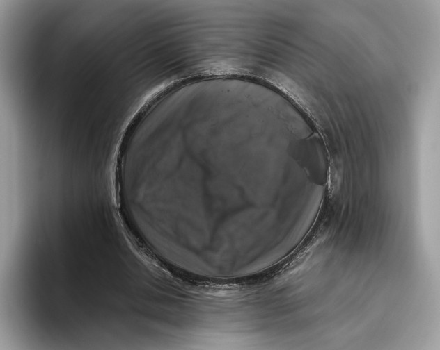 X0000095950438200802011105