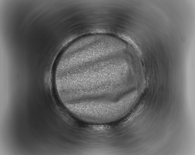 X0000095950439200802011105