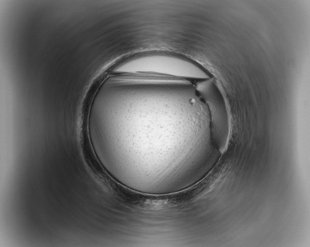 X0000095950440200802011105