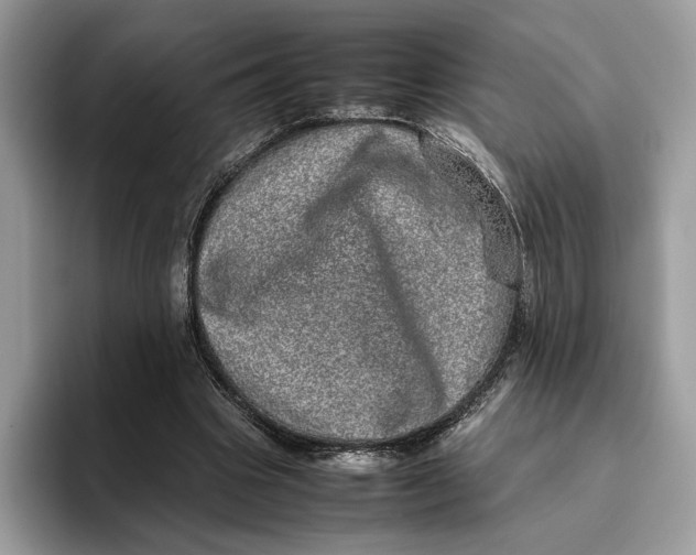 X0000095950441200802011105