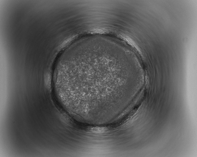 X0000095950444200802011105