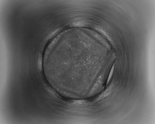 X0000095950446200802011105