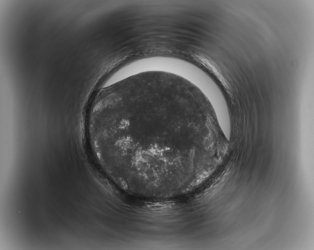 X0000095950447200802011105