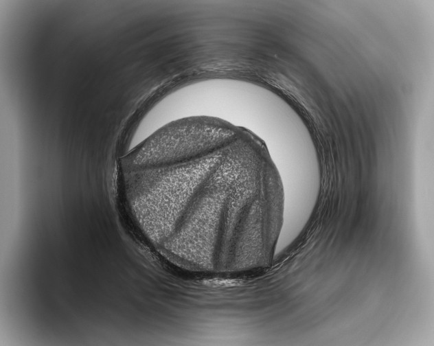 X0000095950448200802011105