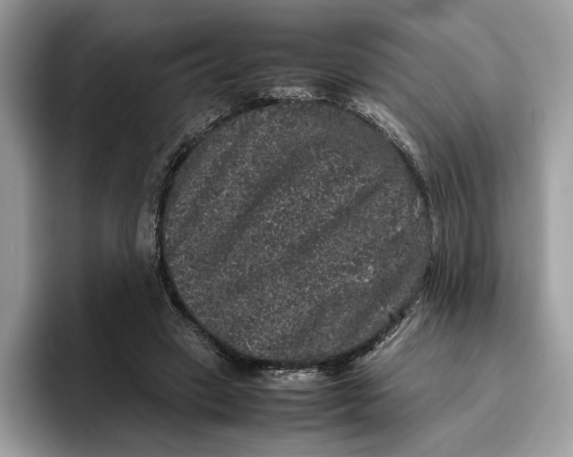 X0000095950449200802011105