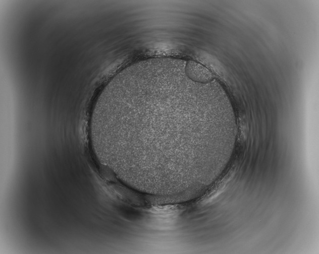 X0000095950450200802011105