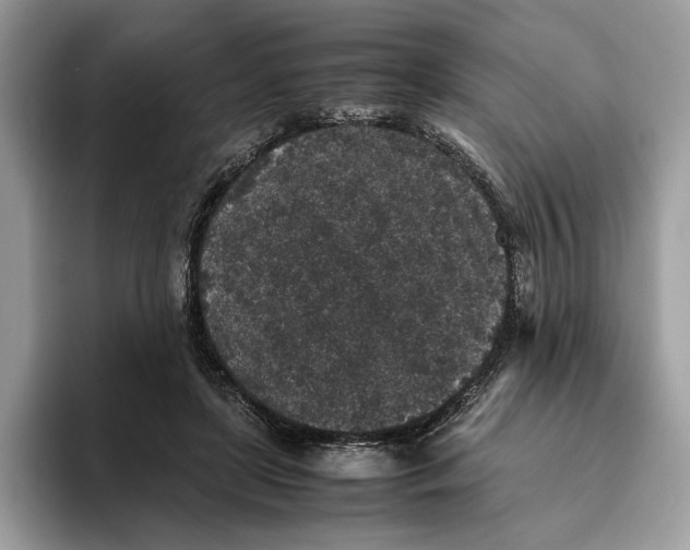 X0000095950451200802011105