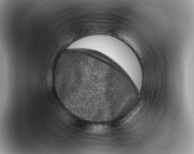 X0000095950453200802011105