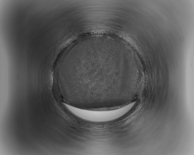 X0000095950454200802011105