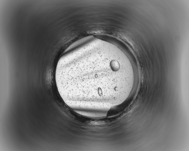 X0000095950455200802011105