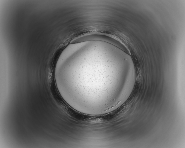 X0000095950456200802011105