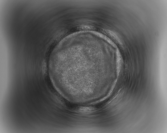 X0000095950457200802011105