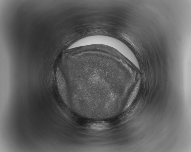 X0000095950459200802011105