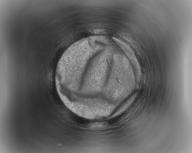 X0000095950461200802011105