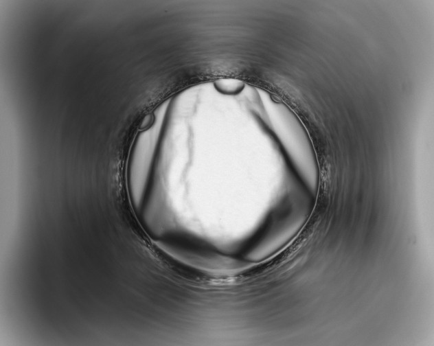 X0000095950462200802011105