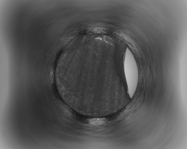 X0000095950465200802011105