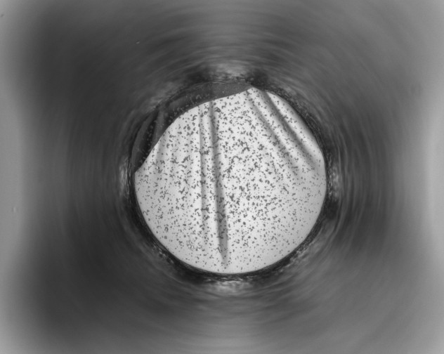 X0000095950468200802011105