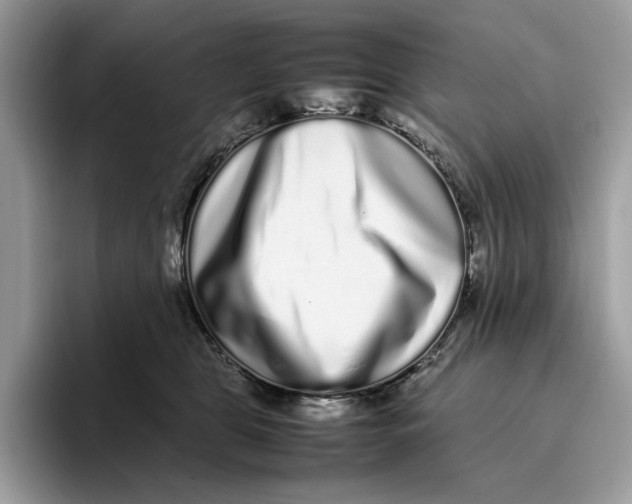 X0000095950469200802011105