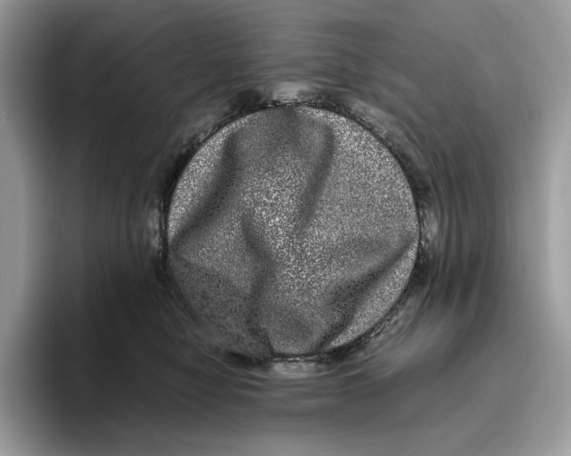 X0000095950470200802011105