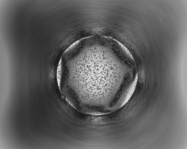 X0000095950472200802011105